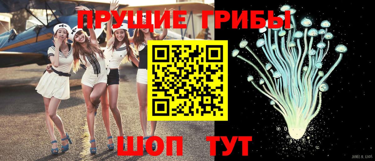 Галлюциногенные грибы Cubensis Вольск